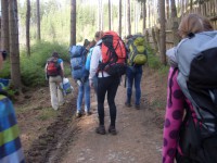 /album/logo/sdc18695-jpg/